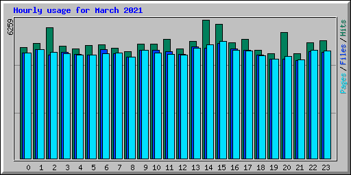 Hourly usage for March 2021